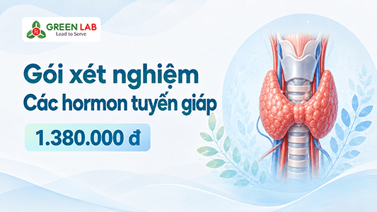 Các Hormon tuyến giáp