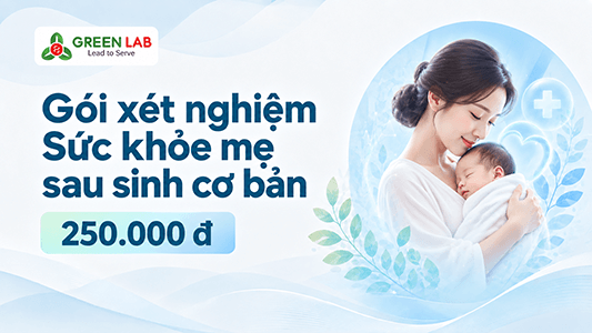 Sức khỏe mẹ sau sinh cơ bản